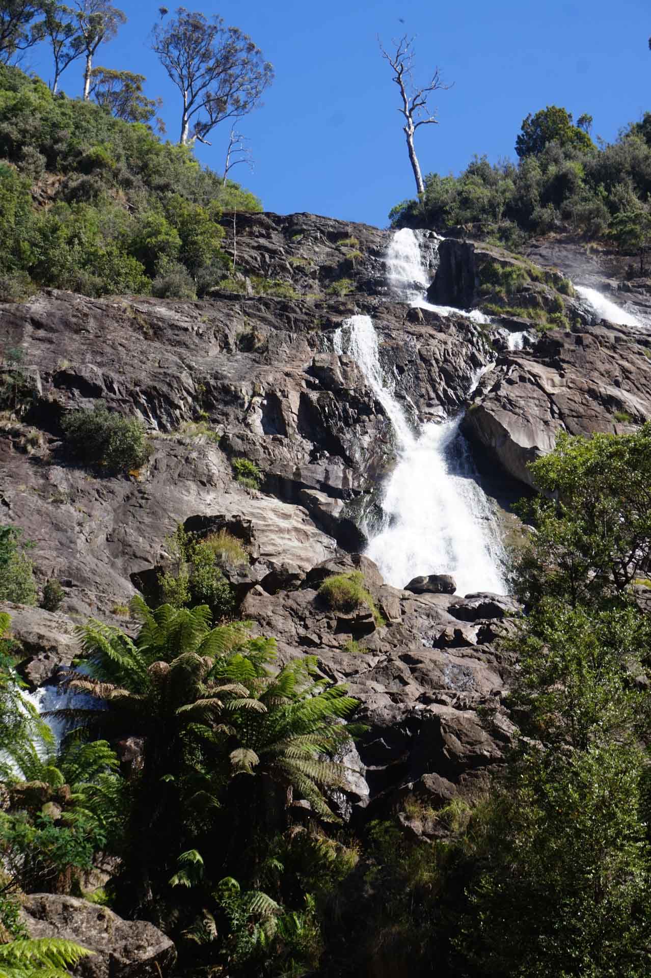 tourist attractions east coast tasmania