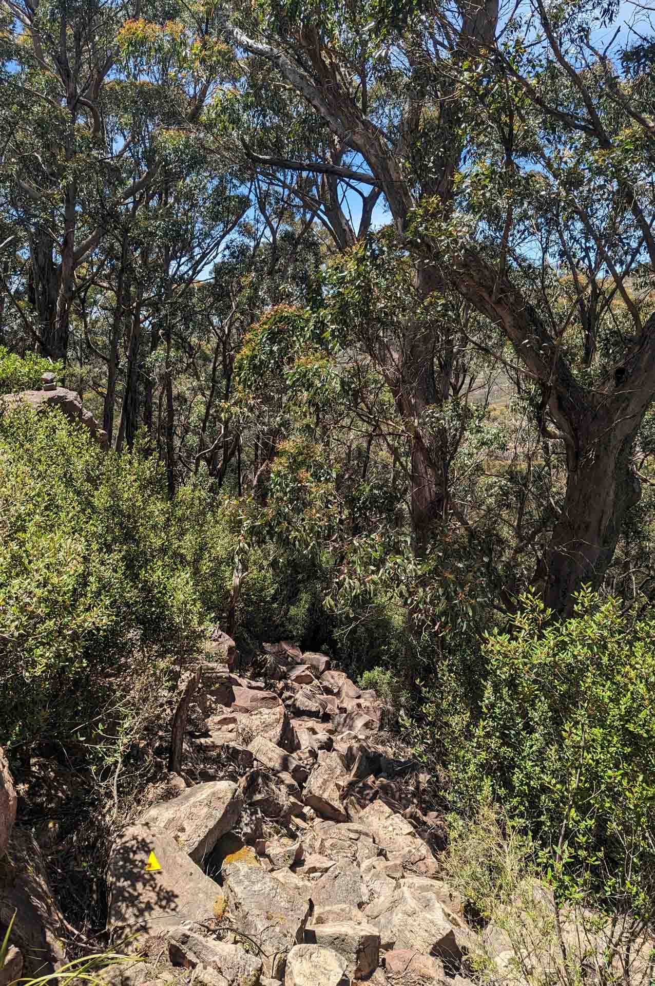 Grampians Peaks Trail, Taylor Bell, rocks, bush, trees