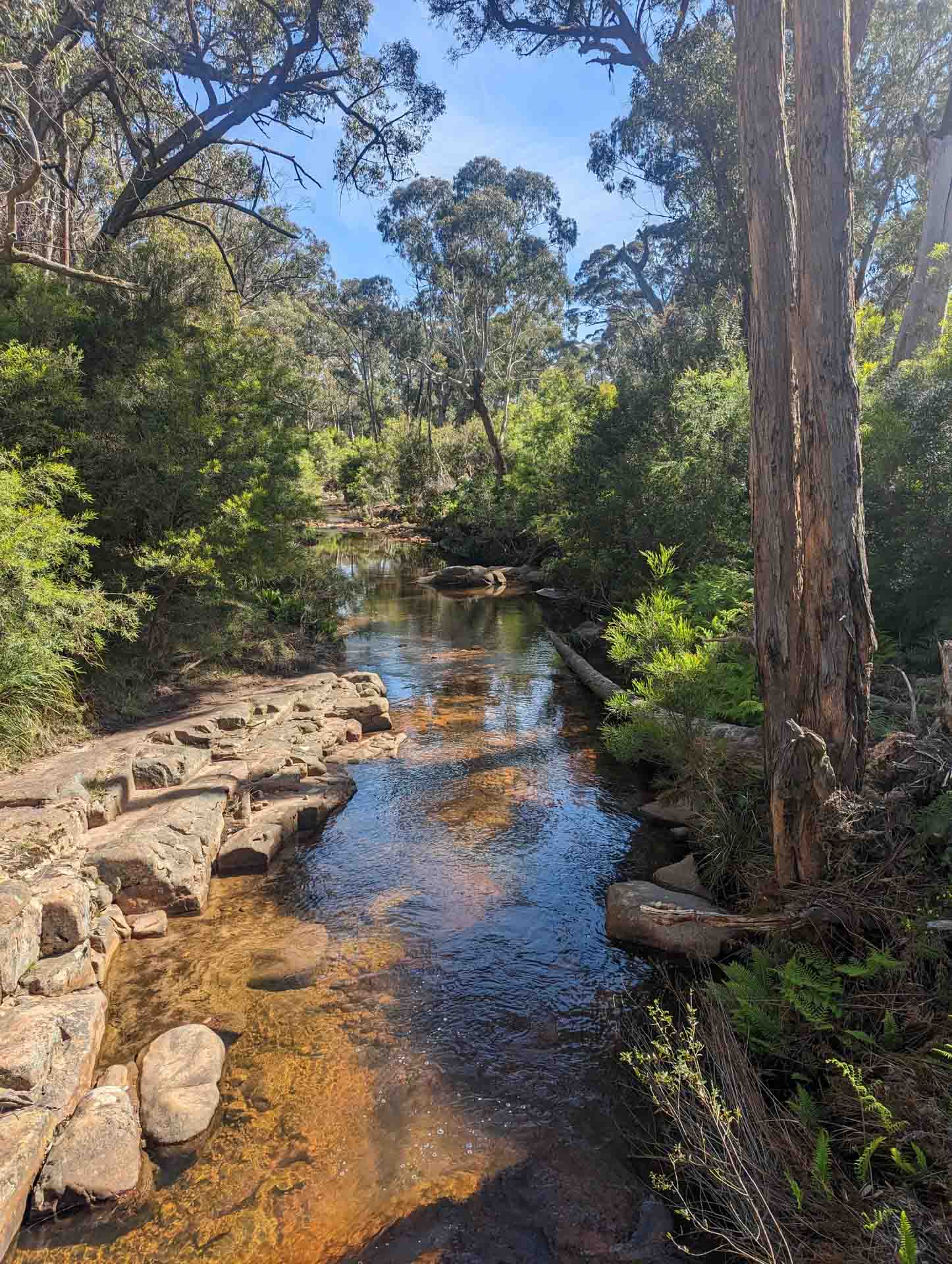 Grampians Peaks Trail, Taylor Bell, creek, bush