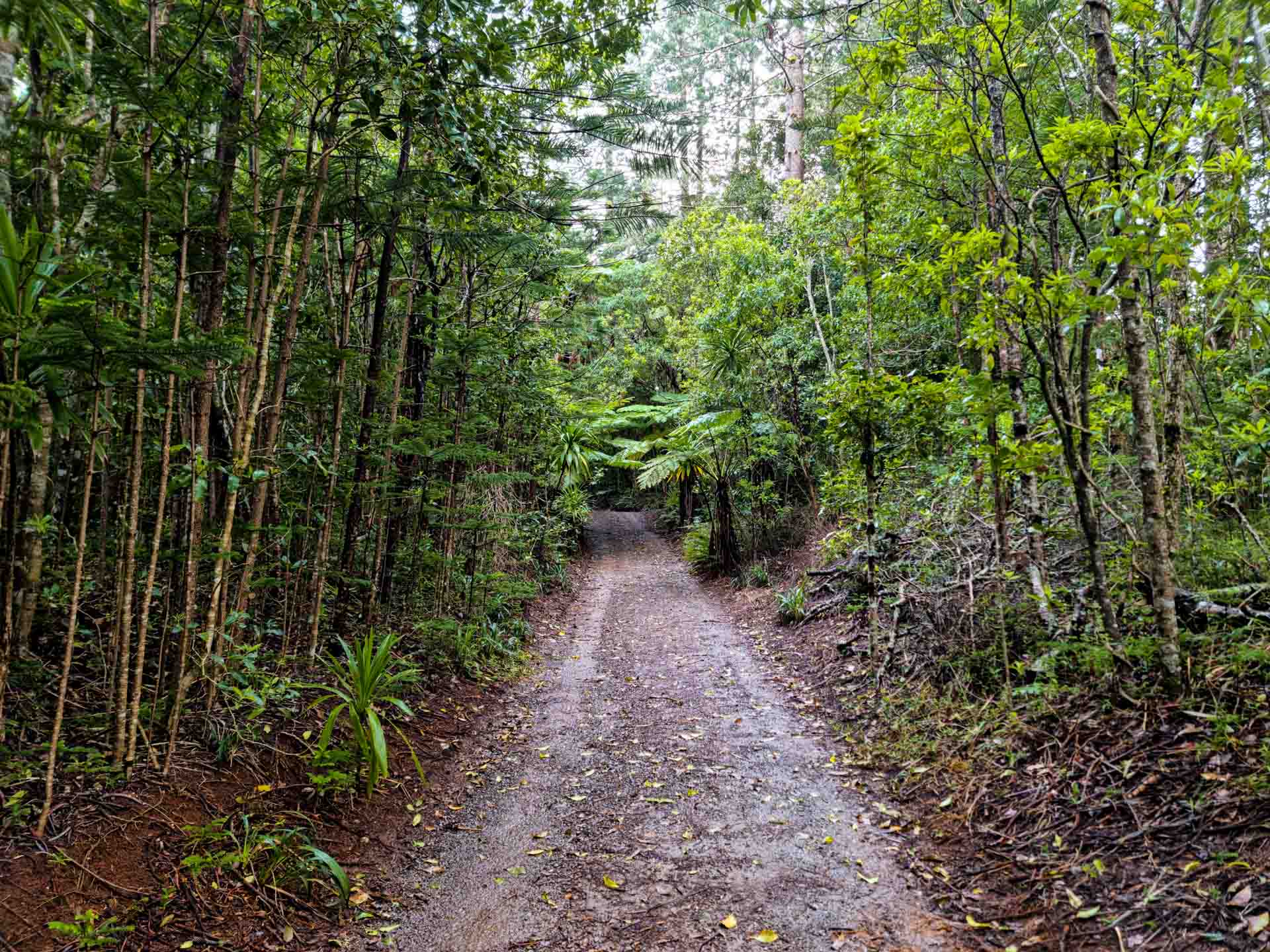 Walking Norfolk Island – A Tiny Landmass in the South Pacific Ocean, Jason Reeve