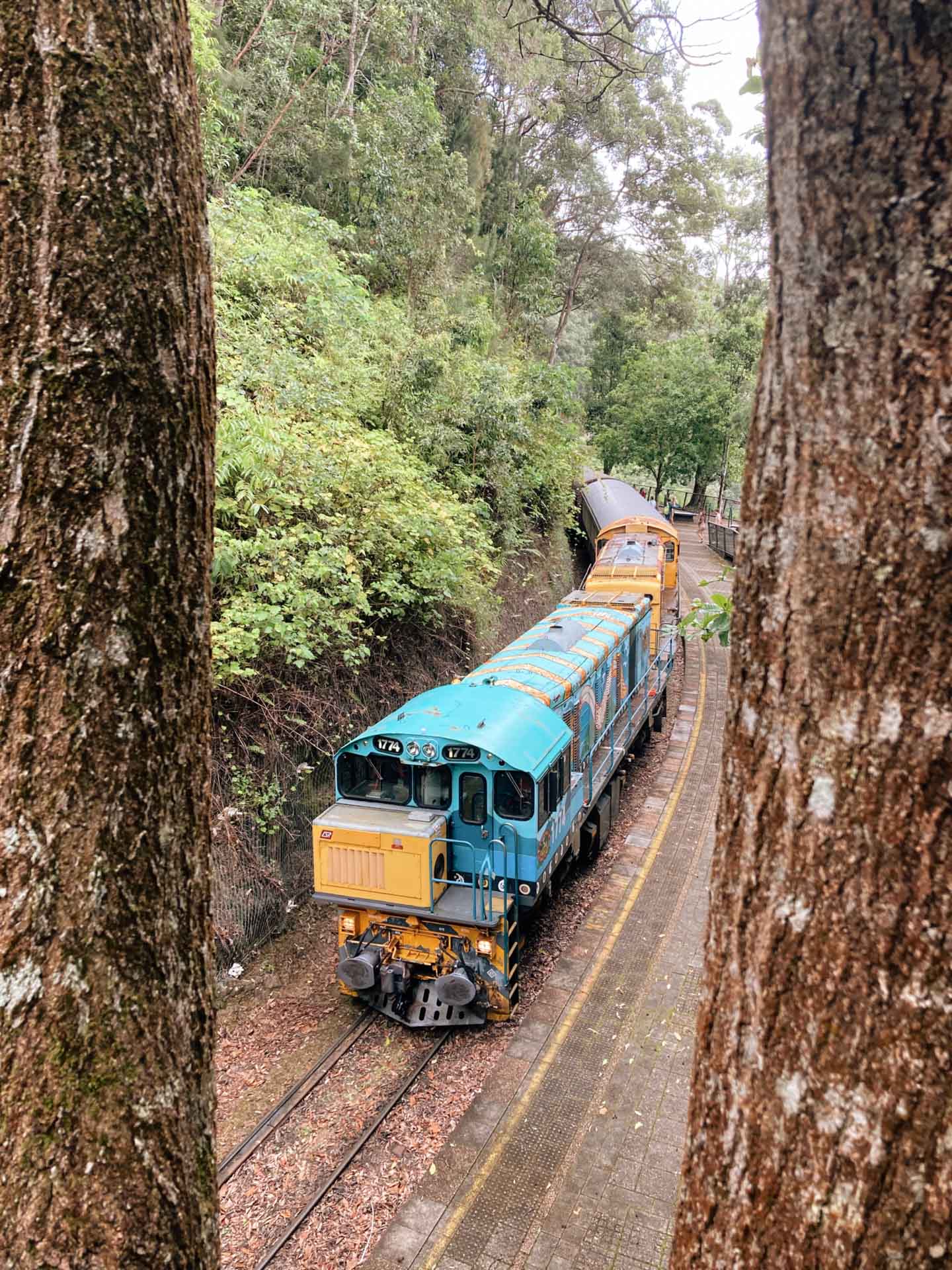A Guide to the Rainforest Village of Kuranda, Delila Bevan-Zedanksy, train, railway