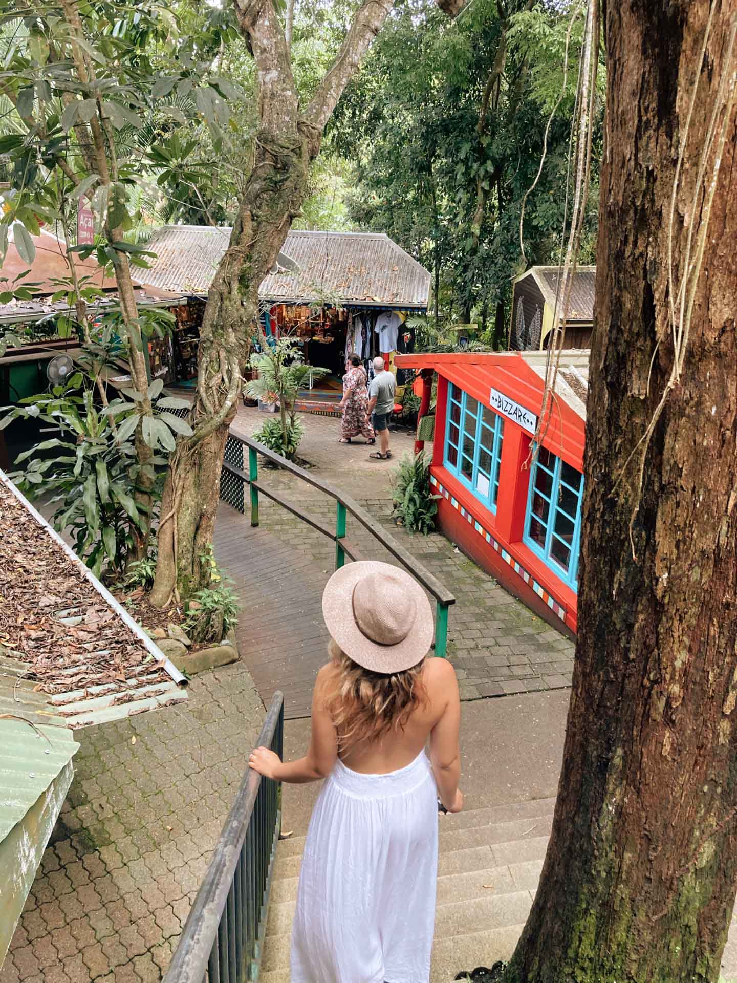 A Guide to the Rainforest Village of Kuranda, Delila Bevan-Zedanksy