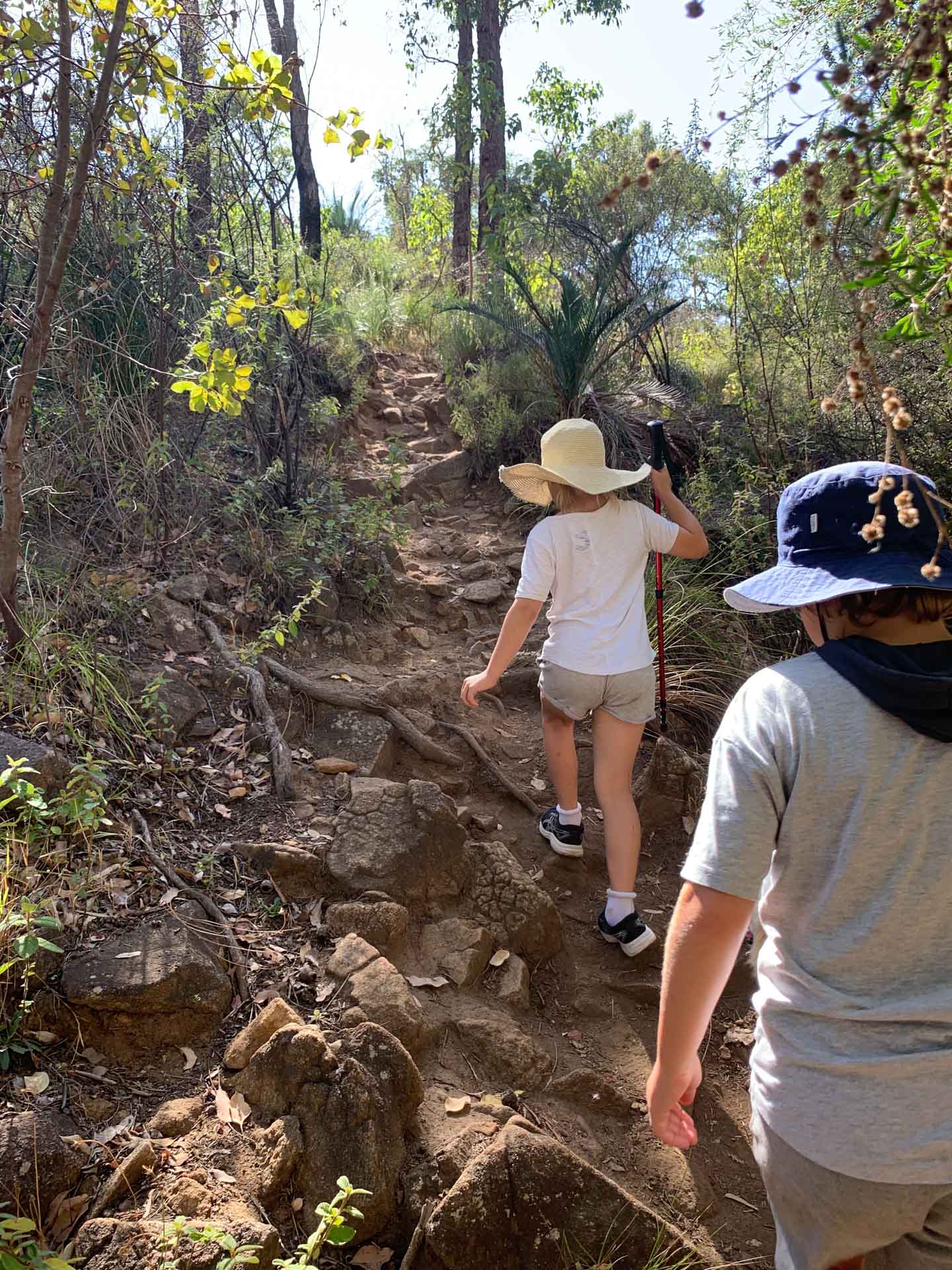 Hiking With Kids – 9 Tips To Make It Enjoyable for Everyone, Sarah Schmitt