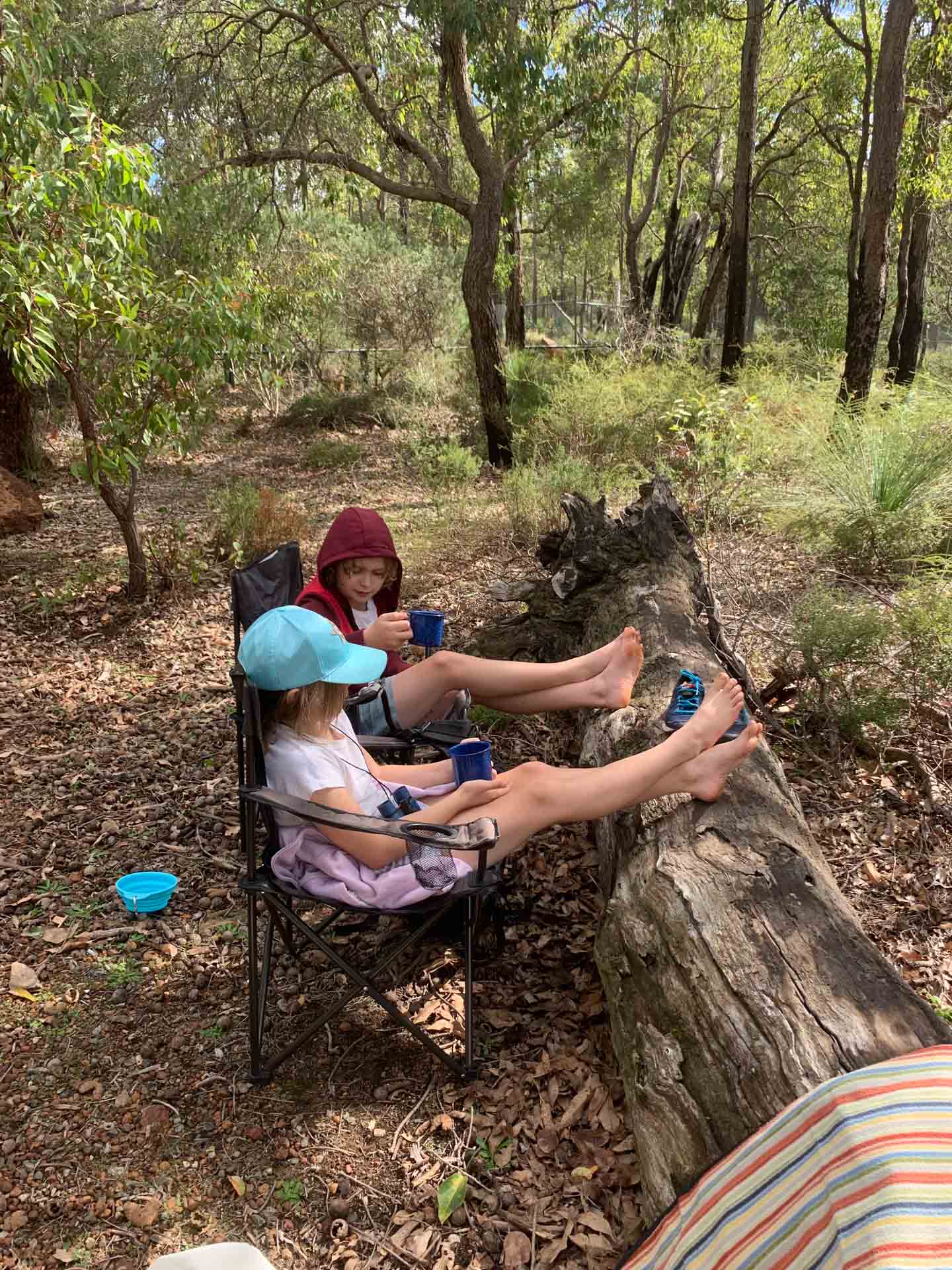 Hiking With Kids – 9 Tips To Make It Enjoyable for Everyone, Sarah Schmitt