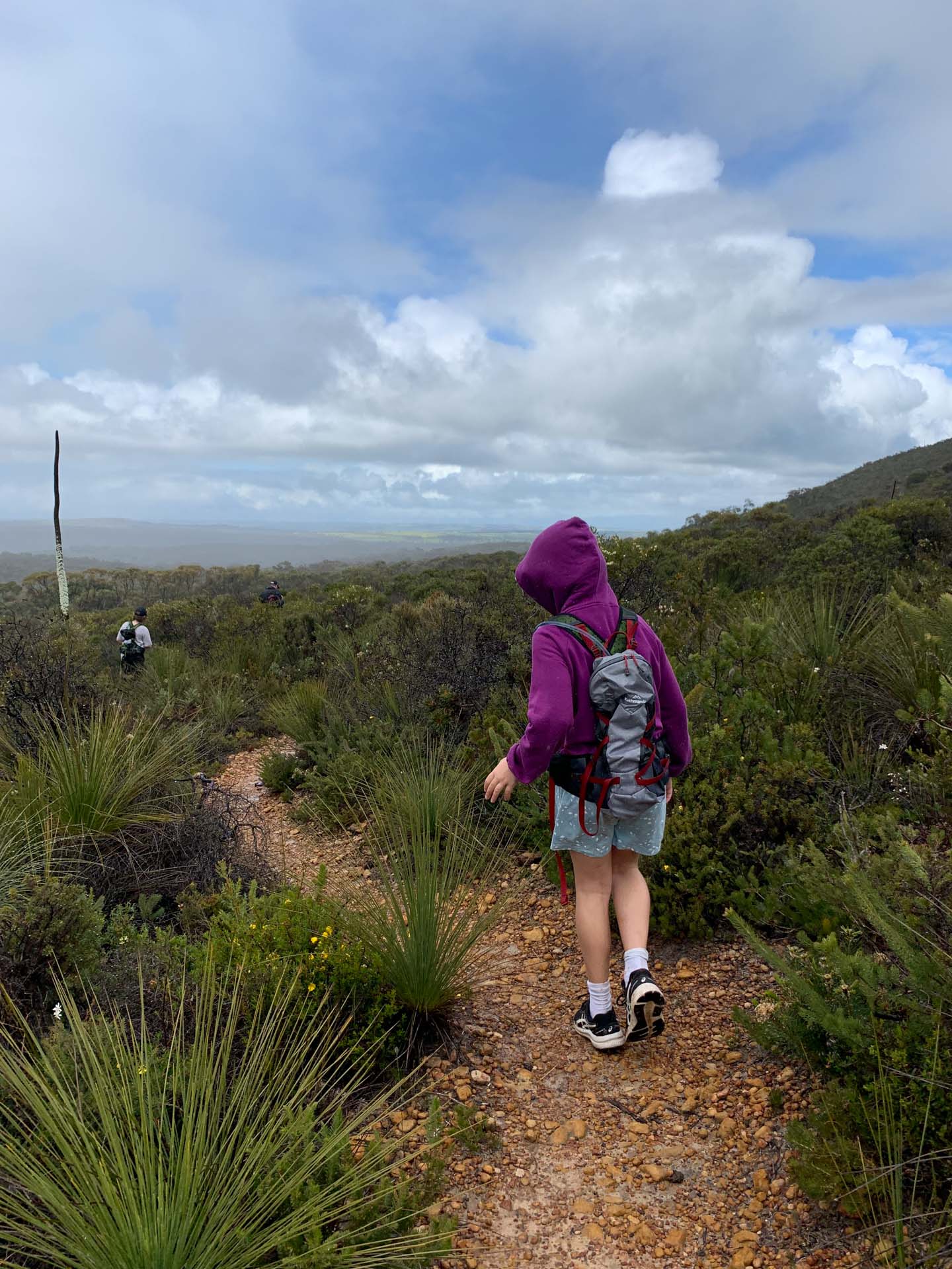 Hiking With Kids – 9 Tips To Make It Enjoyable for Everyone, Sarah Schmitt