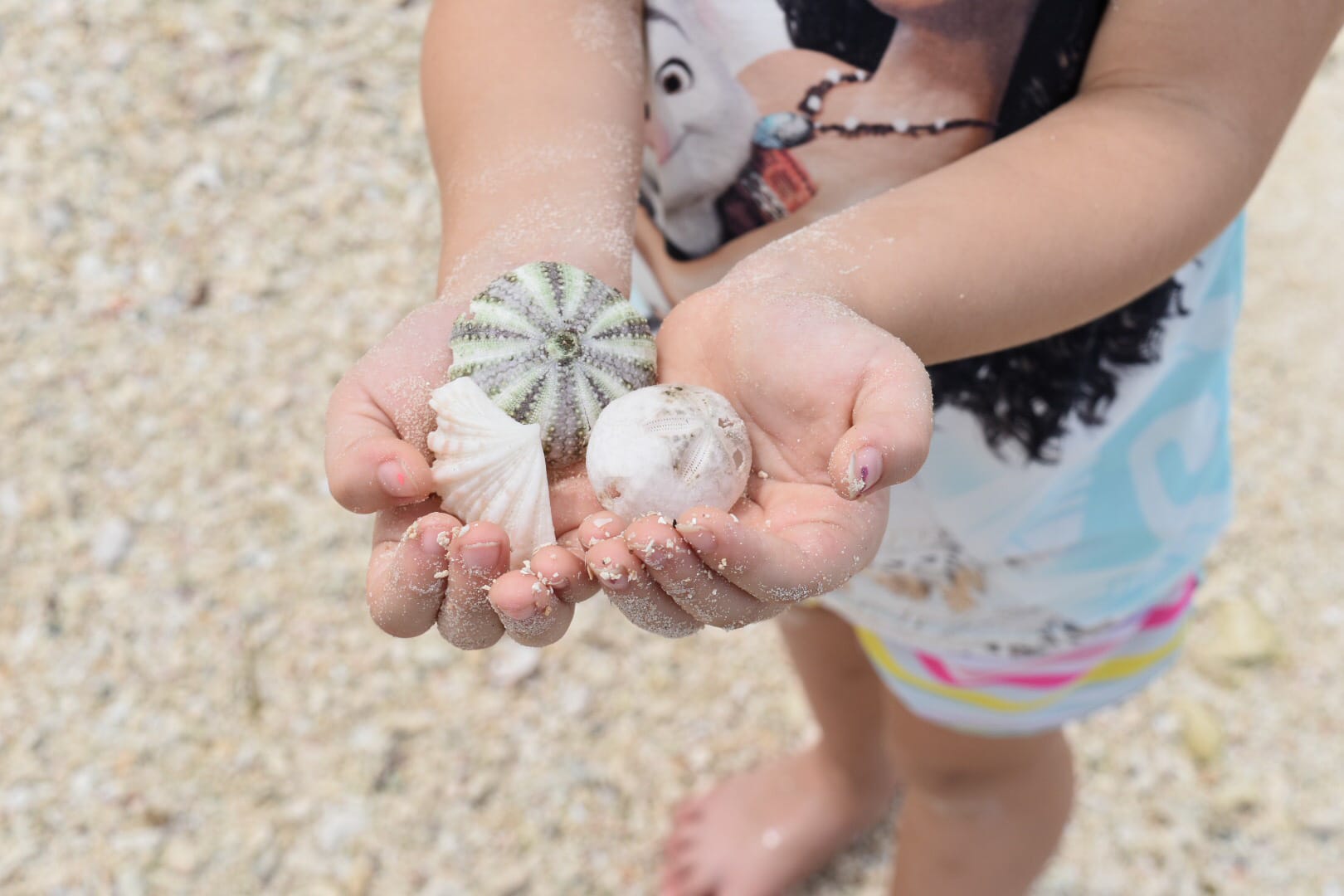 Hiking With Kids – 9 Tips To Make It Enjoyable for Everyone, Sarah Schmitt