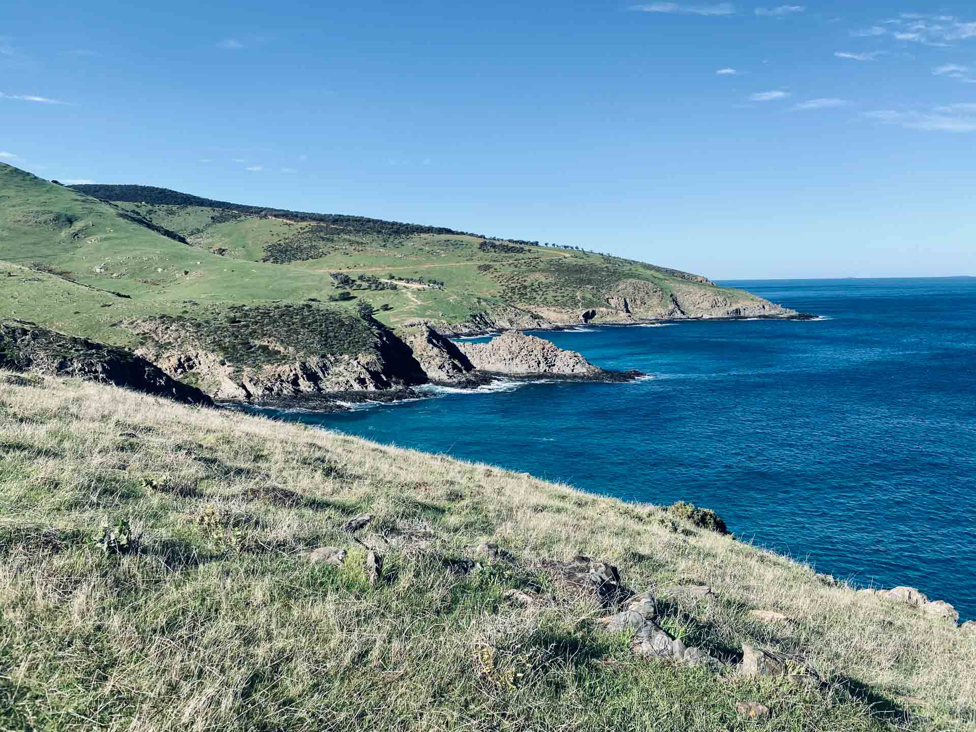 The Wild Coast Way: A 5 Day Teaser for the Heysen Trail, Emily Dallas, ocean cliffs, green hills