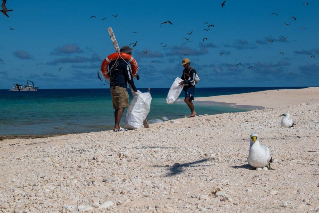 2 Weeks Picking Up Rubbish in the Coral Sea, Eva Davis-Boermans, picking up rubbish on the beach