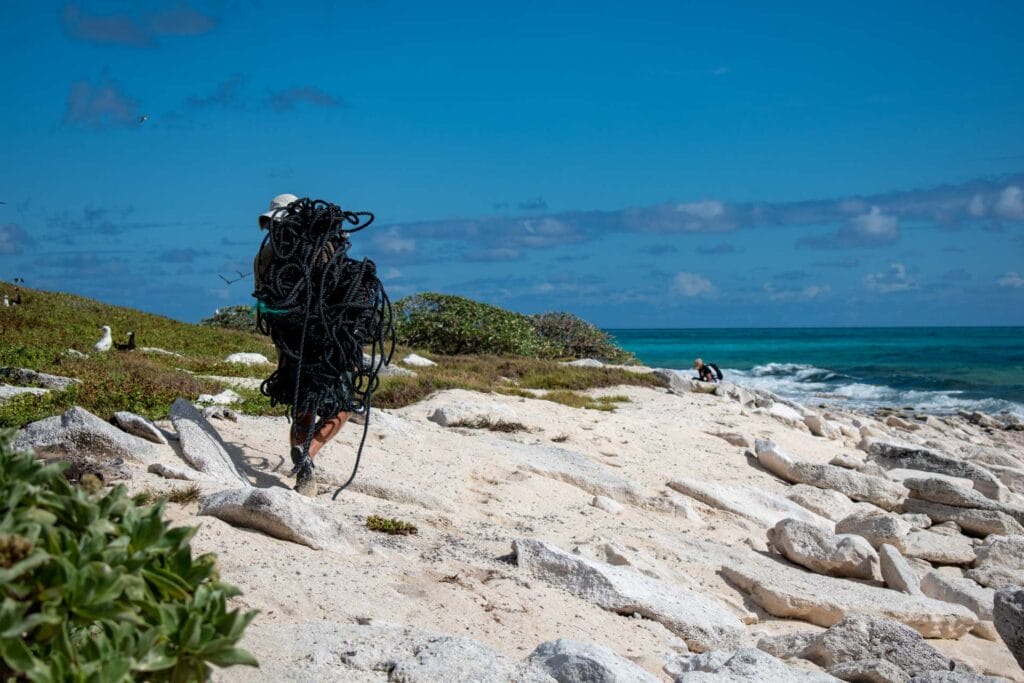 2 Weeks Picking Up Rubbish in the Coral Sea, Eva Davis-Boermans, person walking on a beach