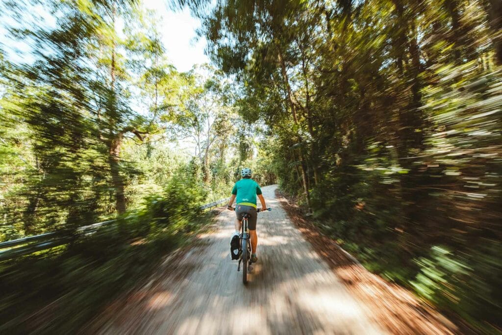 The Northern Rivers Rail Trail - Australia’s Brand New Cycling Route, Henry Brydon, bike, ride, forest