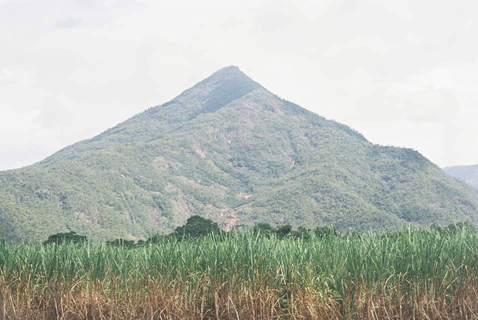 Top Hikes Around Cairns, Delila Pema, pyramid mountain, sugarcane