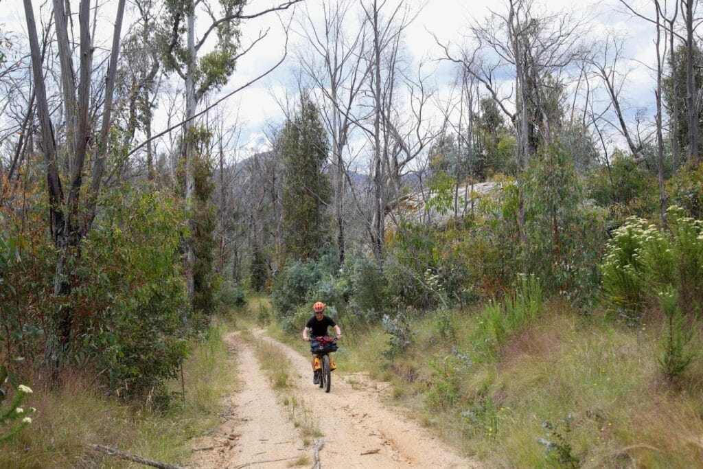 The Boboyan Divide – Canberra’s Best Bikepacking Route, Mattie Gould, Namadgi National Park, bike, ride, bikepacking, trail, forest