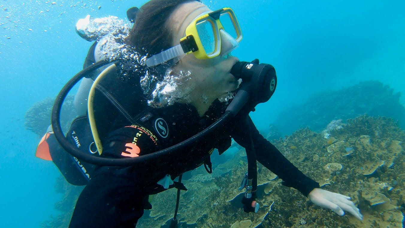 A Guide to Cairns During the Wet Season, Ella forward-yang, great barrier reef, person underwater in scuba suit, scuba gear
