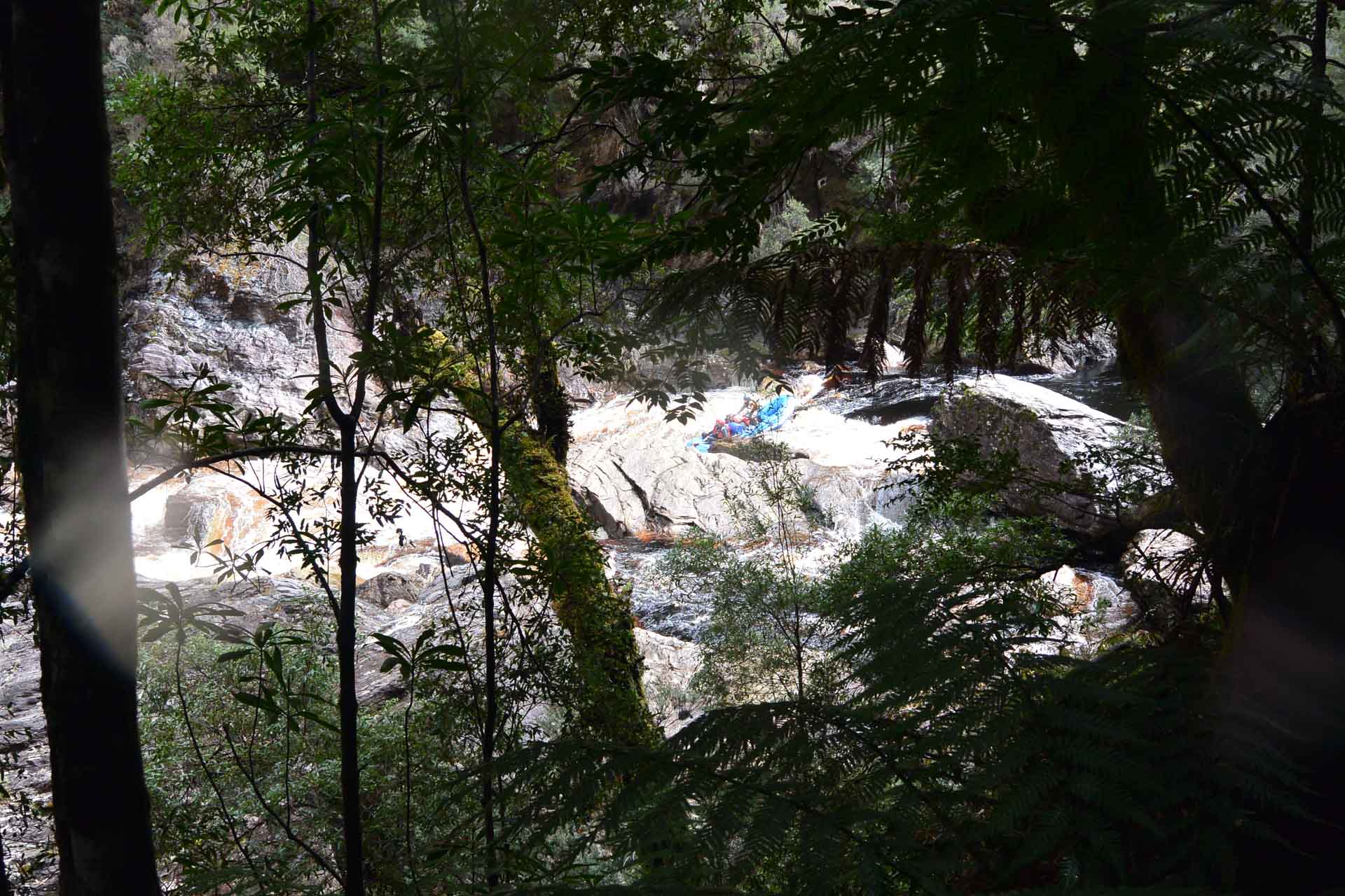 Rafting the Franklin: An Exercise of Forgetting Expectations and Embracing Reality, Kirsty Imms, river rapids, ferns, whitewater