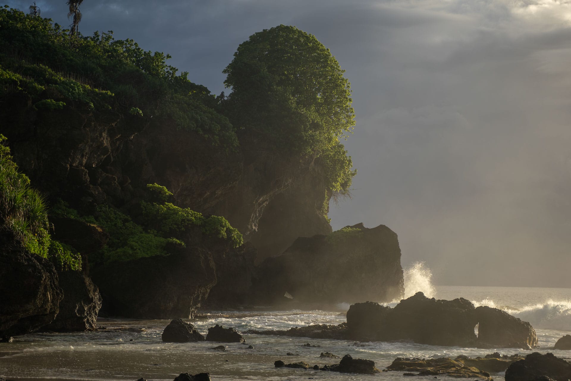 Christmas Island: The Ultimate Guide to Adventure on One of Australia’s Most Far Reaching Islands, Benjamin Wiesner