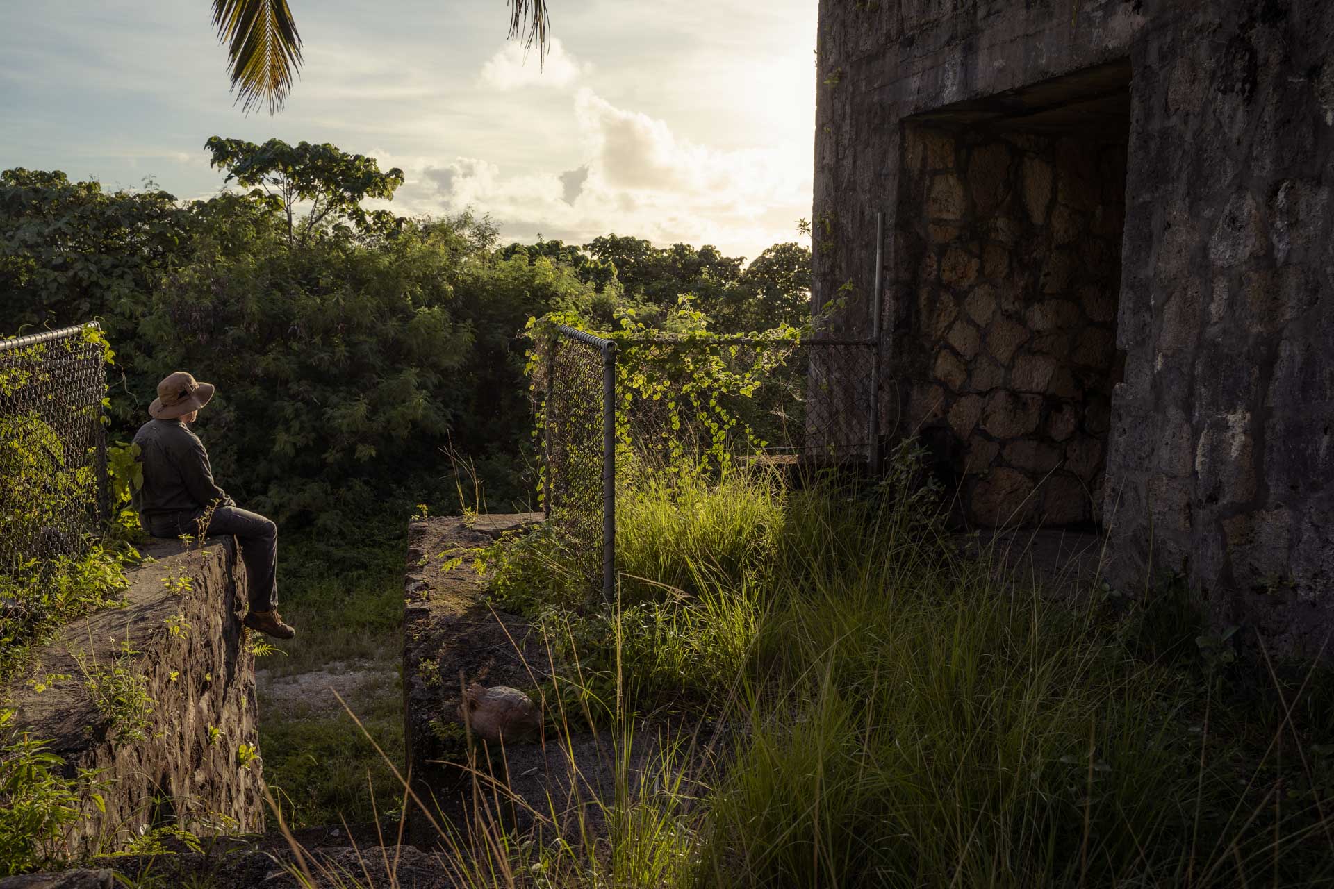 Christmas Island: The Ultimate Guide to Adventure on One of Australia’s Most Far Reaching Islands, Benjamin Wiesner
