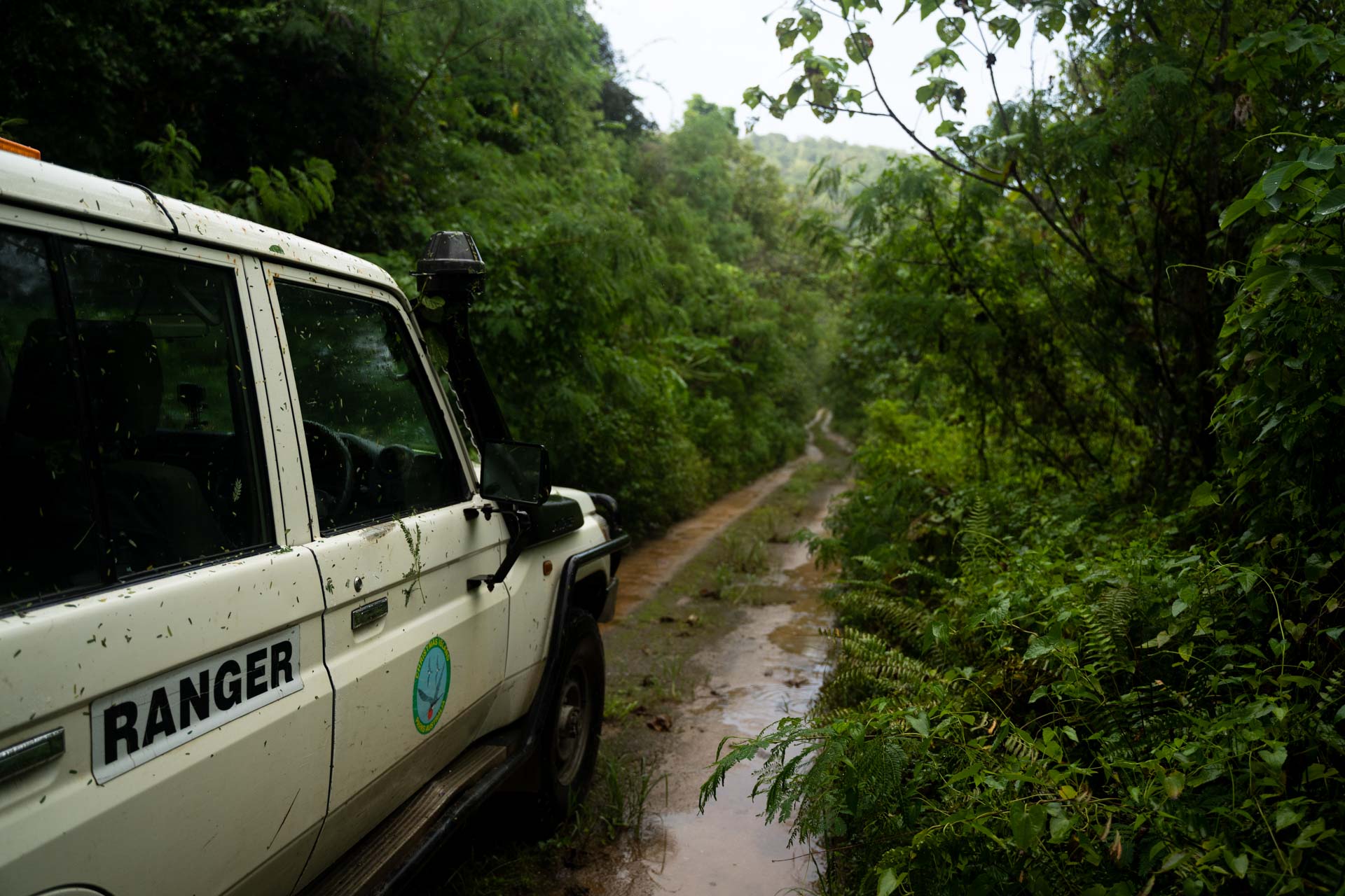 Christmas Island: The Ultimate Guide to Adventure on One of Australia’s Most Far Reaching Islands, Benjamin Wiesner