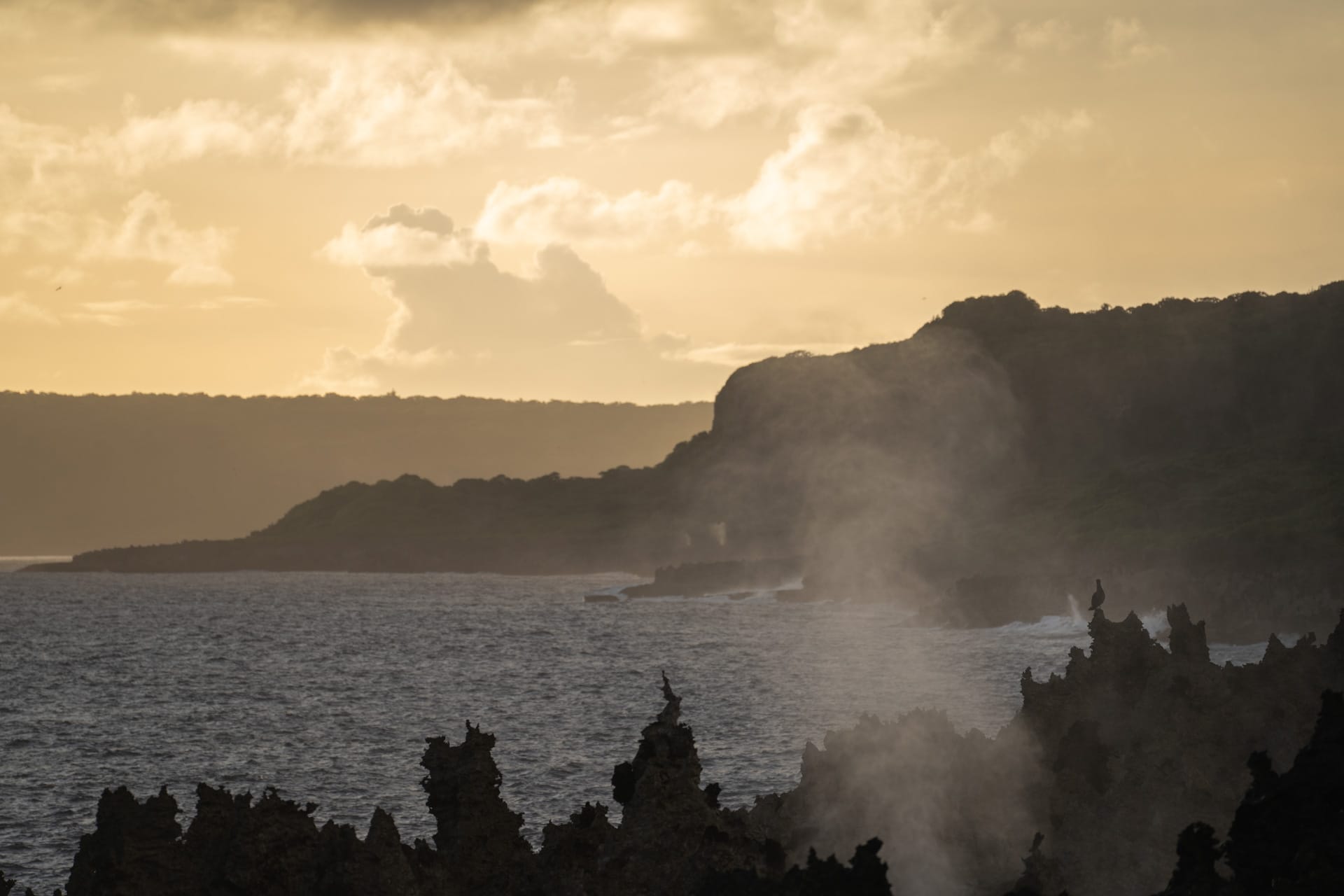 Christmas Island: The Ultimate Guide to Adventure on One of Australia’s Most Far Reaching Islands, Benjamin Wiesner