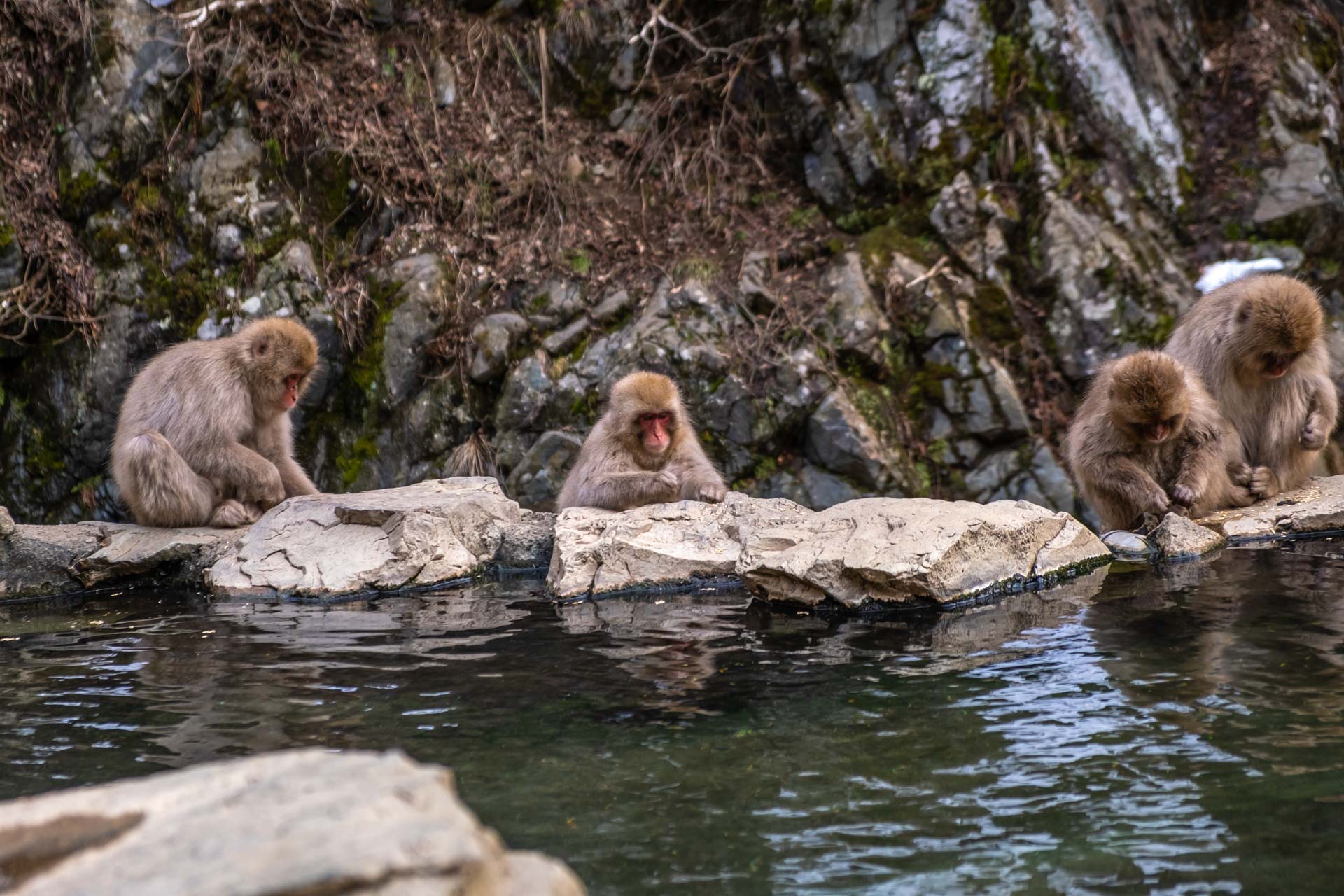 8 Underrated Experiences in Japan’s Nagano Region, Tamara Thurman