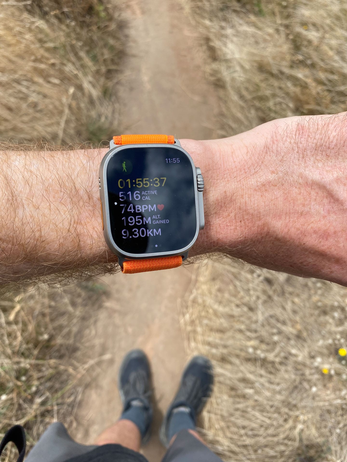 Apple Watch Ultra review – perfect for more than just fitness buffs