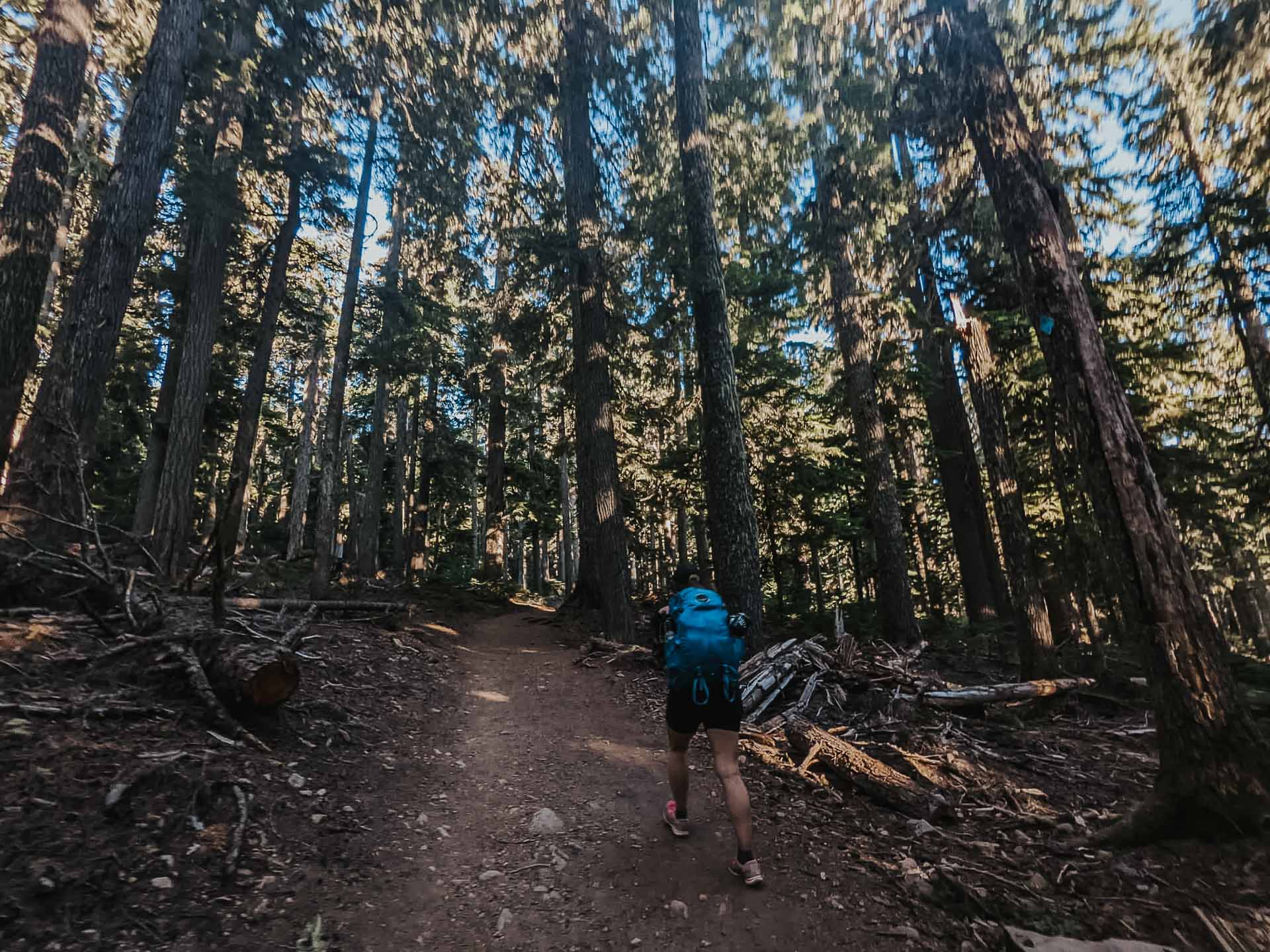 Hiking in Pacific Northwest USA vs Tasmania, Ashley Cotter, pacific crest trail, oregon