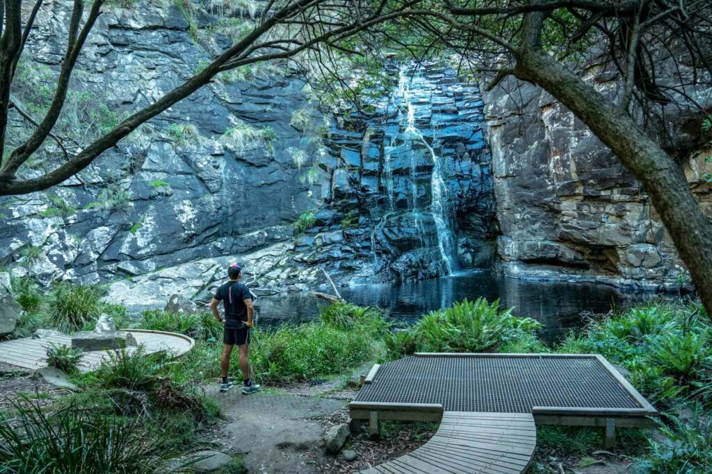 13 Trails and Waterfalls in the Otways National Park, Victoria, Chris Ord, new balance, picnic platform, runner standing infront of she oak