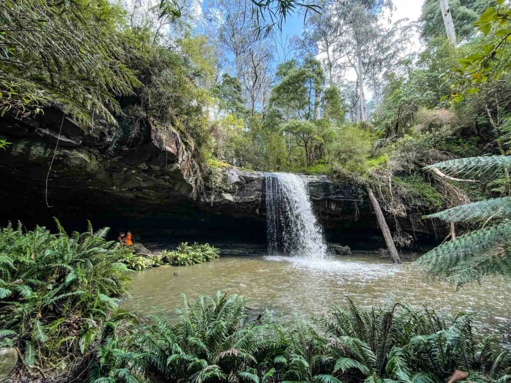13 Trails and Waterfalls in the Otways National Park, Victoria, Chris Ord, Kalimna falls, waterfalll with pool