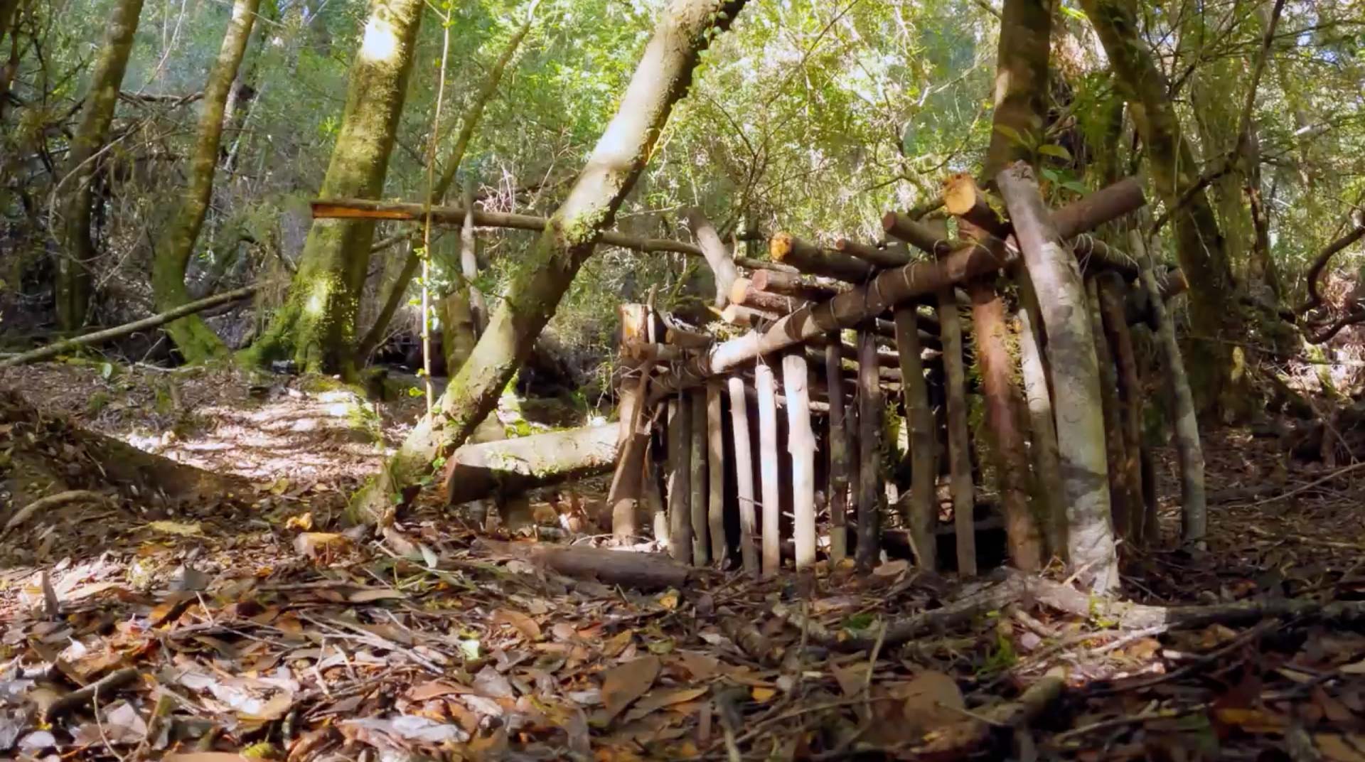 alone australia, episode 8, screenshot