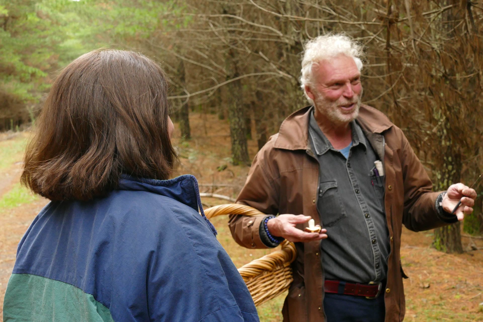 Mushroom Hunting – Foraging for Fungi in Orange With The Market Cat, Kate Scott, people taking, surrounded by pine trees, pine forests