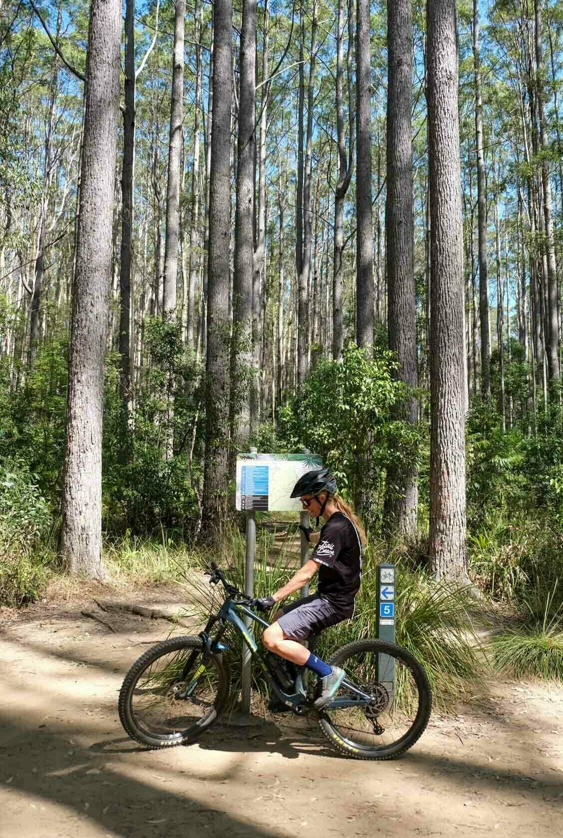 Wooroi mountain best sale bike trails