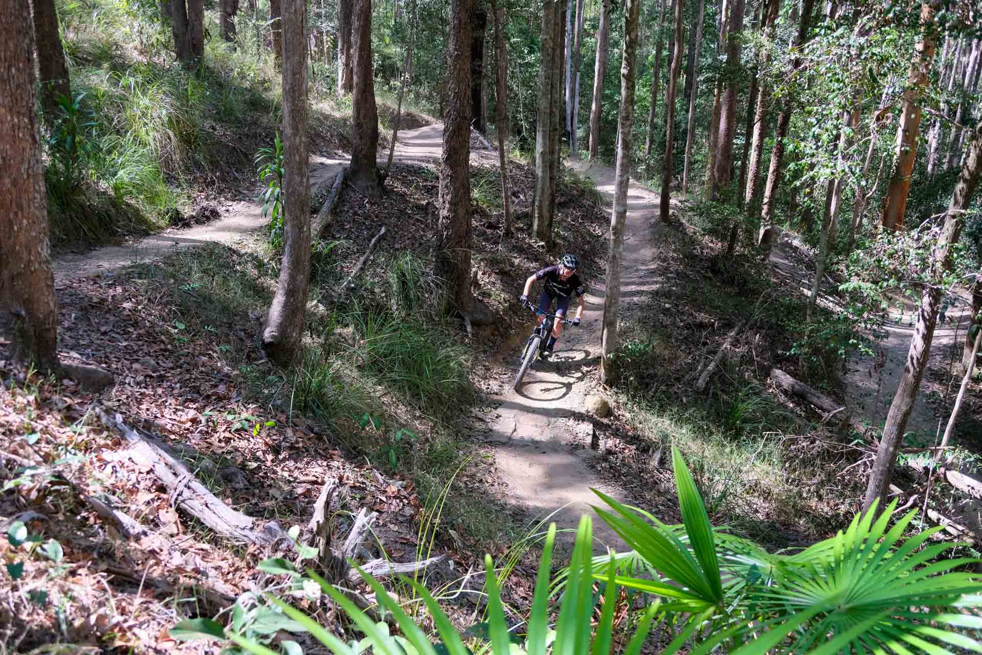 Wooroi mountain bike online trails