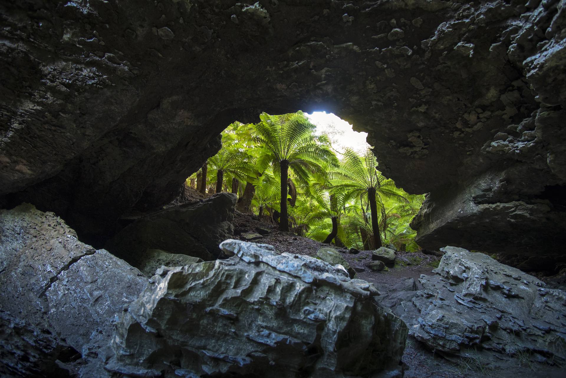 10 Tassie Adventures That Are Out of the Ordinary, photo credit Tourism Tasmania and Rob Burnett, Trowutta Arch, rainforest