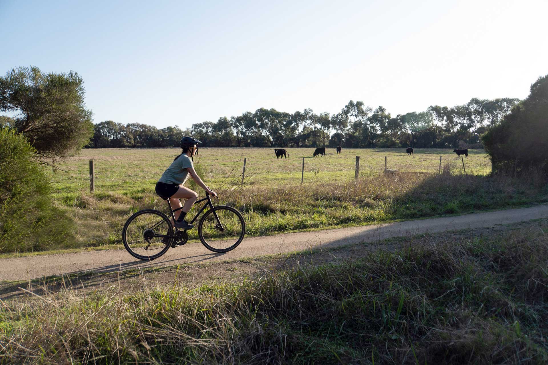 Bellarine Rail Trail – Explore Victoria’s Farmland and Coast on This 35km Cycling Track, Alyson Lamb, person riding along a country road