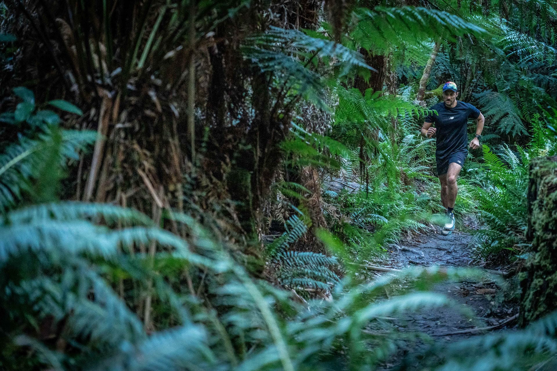 Henderson trail 5. Otways, Chris Ord