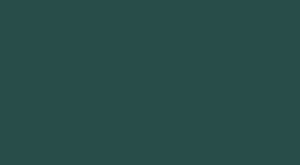 Digital Publishers Alliance Logo