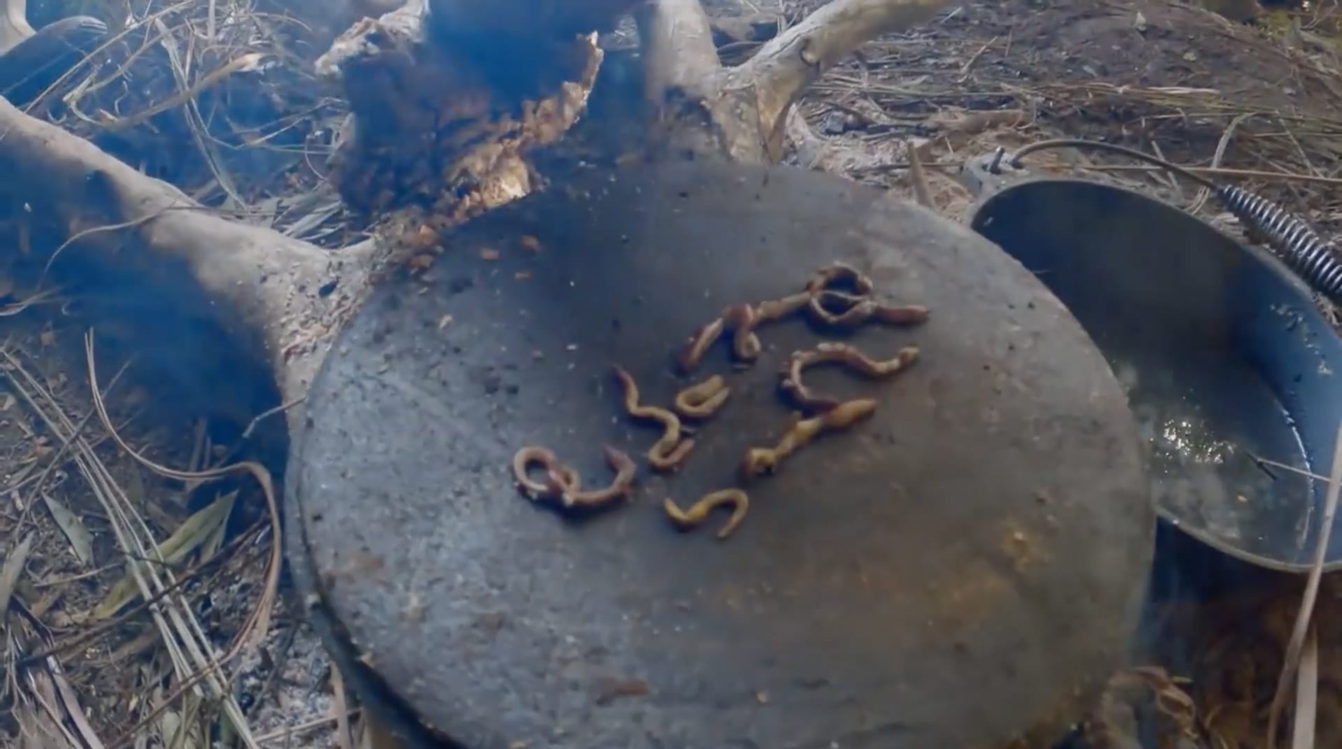 Interview with Gina Chick – Winner of Alone Australia, screenshot, worms