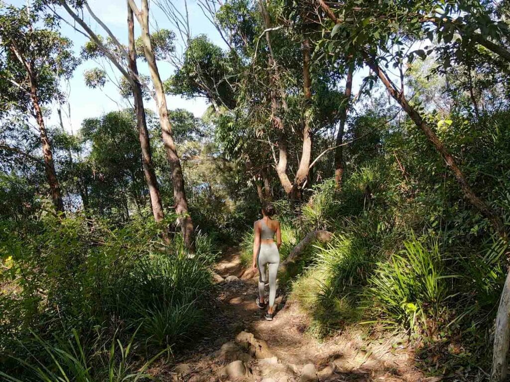Wollongong Weekend Getaway Guide, Sharmali K, the wodi wodi track, person walking along bush trail