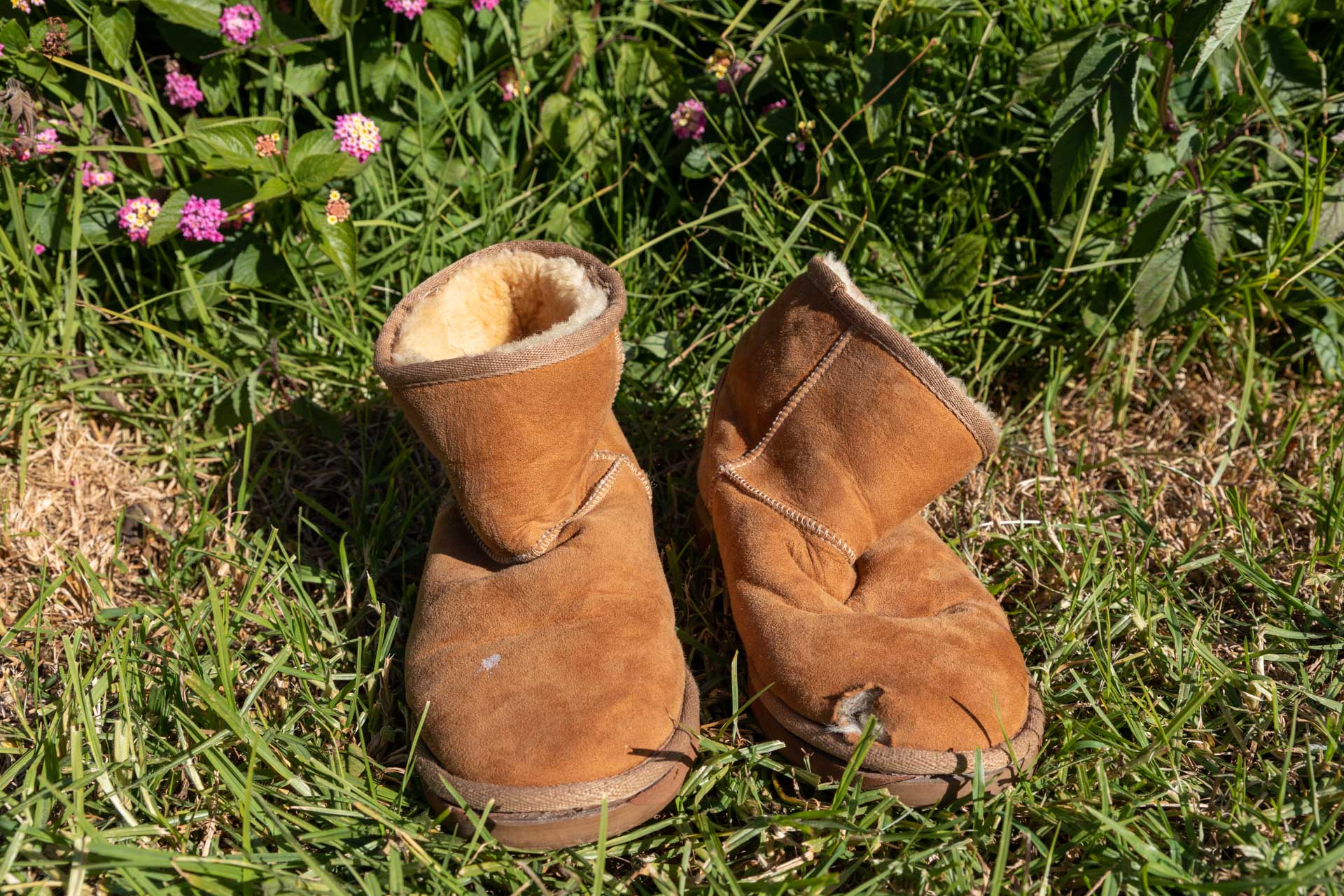 Ugg deals boots illawarra