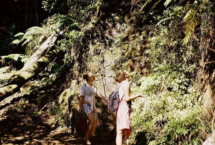 Belmore Falls: A Secluded Waterfall Looking Over the Picturesque Kangaroo Valley, Kyra Mckinnon, people hiking in rainforest, morton national park