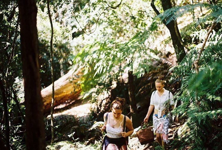 Belmore Falls: A Secluded Waterfall Looking Over the Picturesque Kangaroo Valley, Kyra Mckinnon, people hiking in rainforest, morton national park