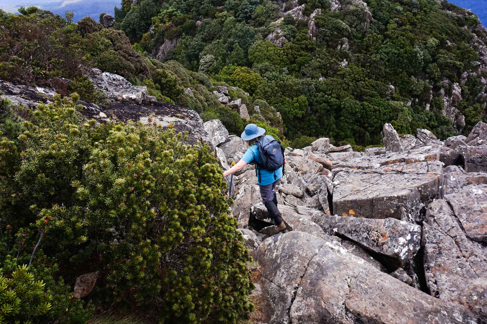 8 Great Places to Explore on Tasmania's North West and Central North Area, roz glazebrook, Quamby Bluff, mountain, rock scrambling