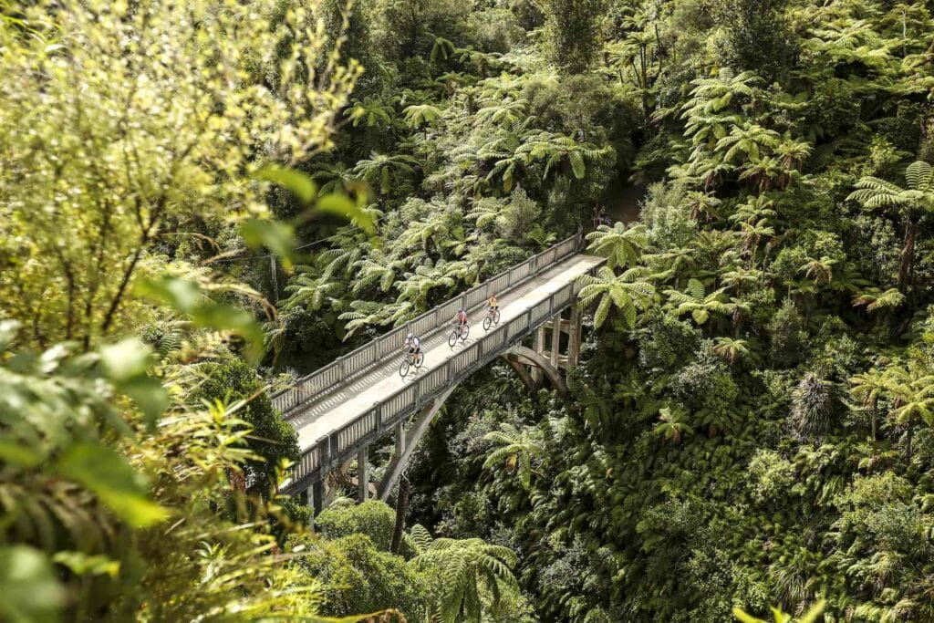 10 Winter Adventures in Aotearoa New Zealand Worth Extending Your Trip For, Photo thanks to Visit Ruapehu, Bridge to Nowhere, bike riding, ferns, rainforest