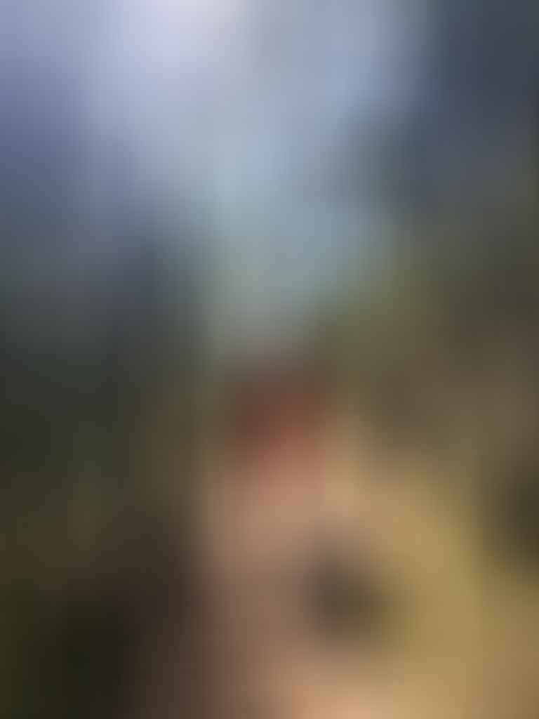 What Happens When Your Partner and Adventure Buddy Leaves? Sharona Lin, red rocks, person walking on trail, canberra, murrumbidgee river
