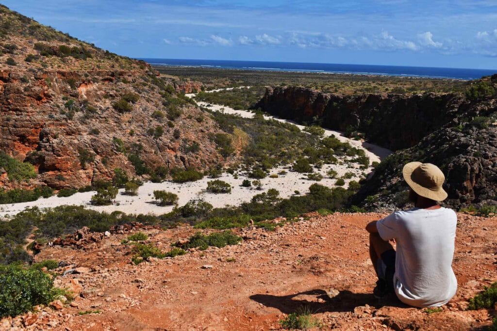An Ode to Lookouts, Eva Davis Boermans, lookout, mountain, man