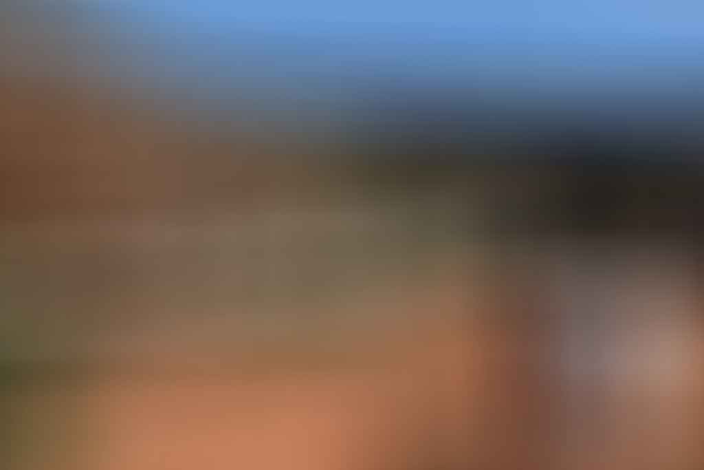 An Ode to Lookouts, Eva Davis Boermans, lookout, mountain, man