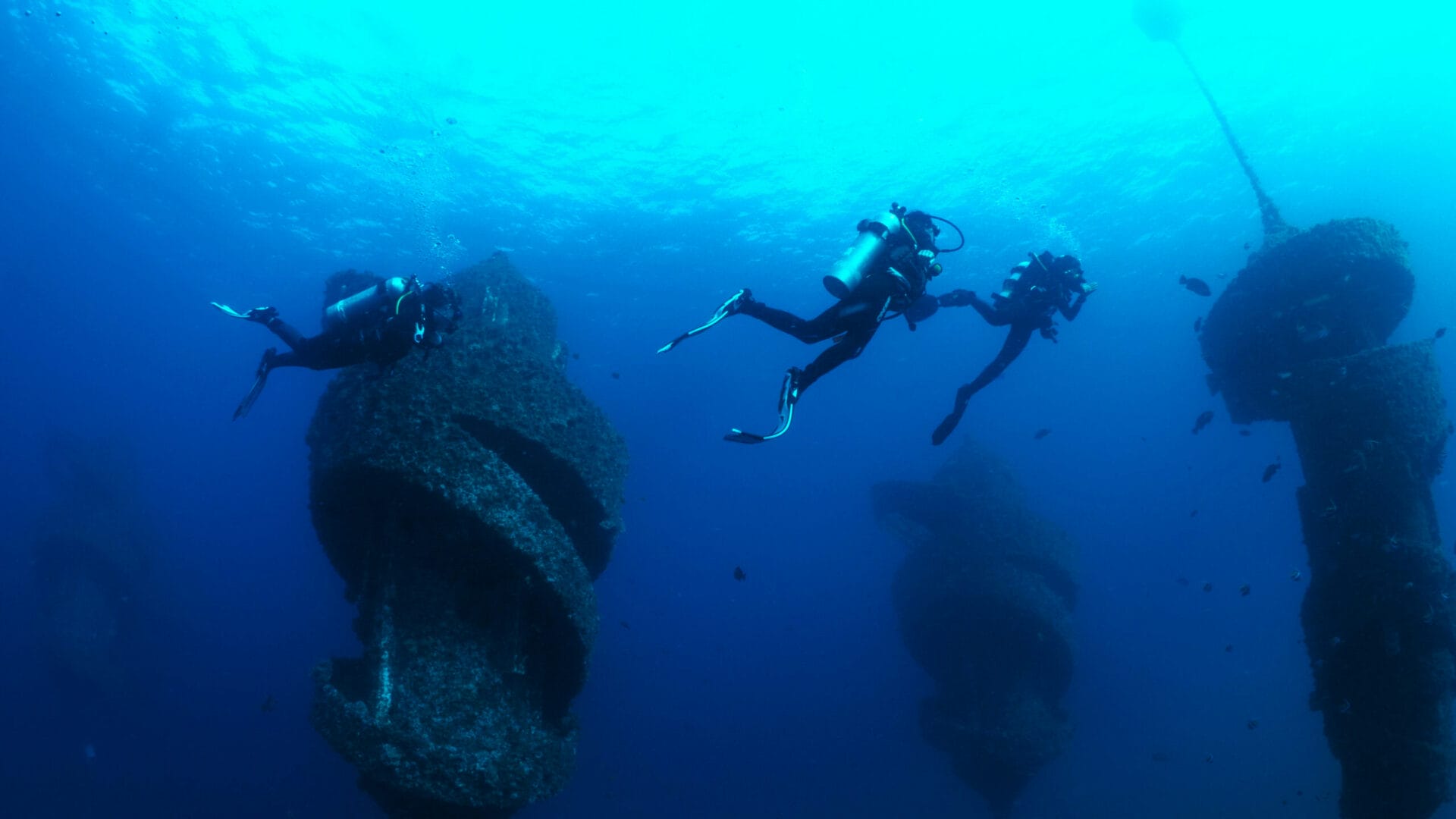Wonder Reef Destination Gold Coast Divers 