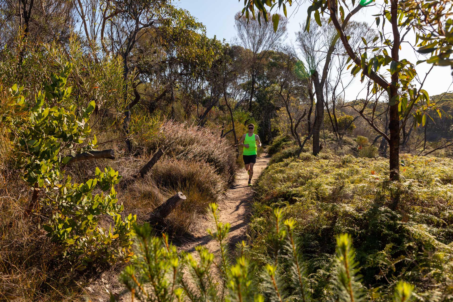 The North Face Vectiv Enduris 3 Trail Shoe - Review