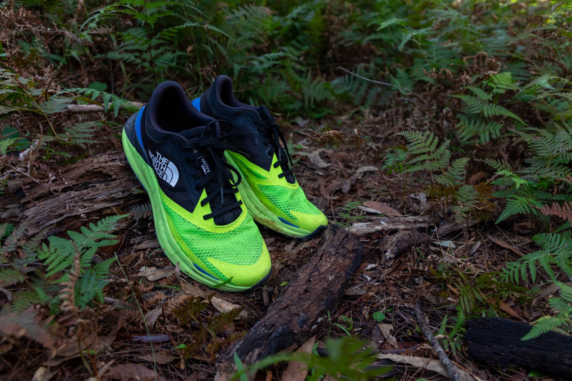 The North Face Vectiv Enduris 3 Trail Shoe - Review