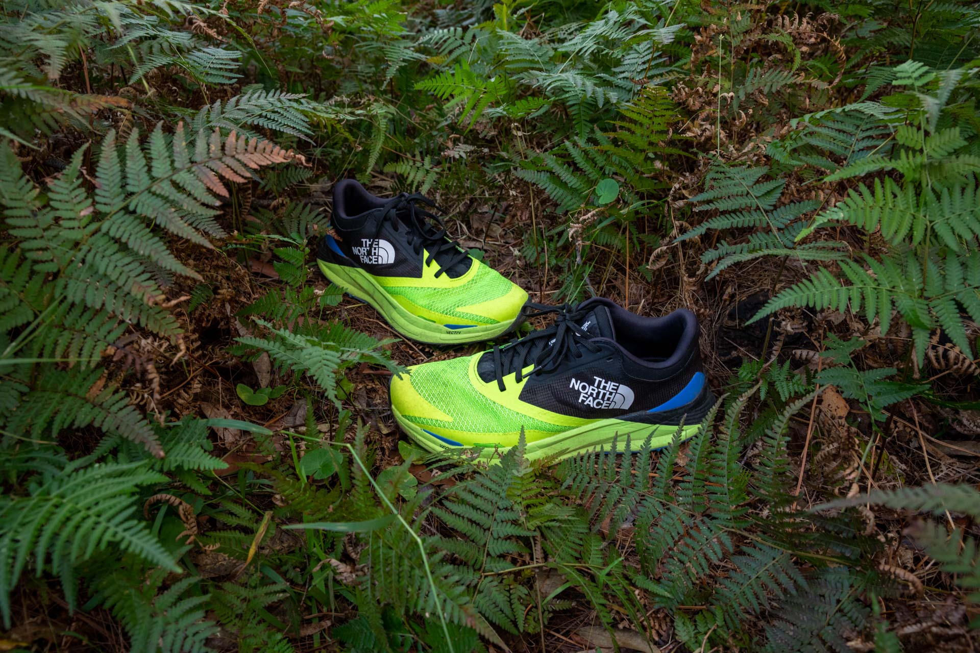 The North Face Vectiv Enduris 3 Trail Shoe - Review
