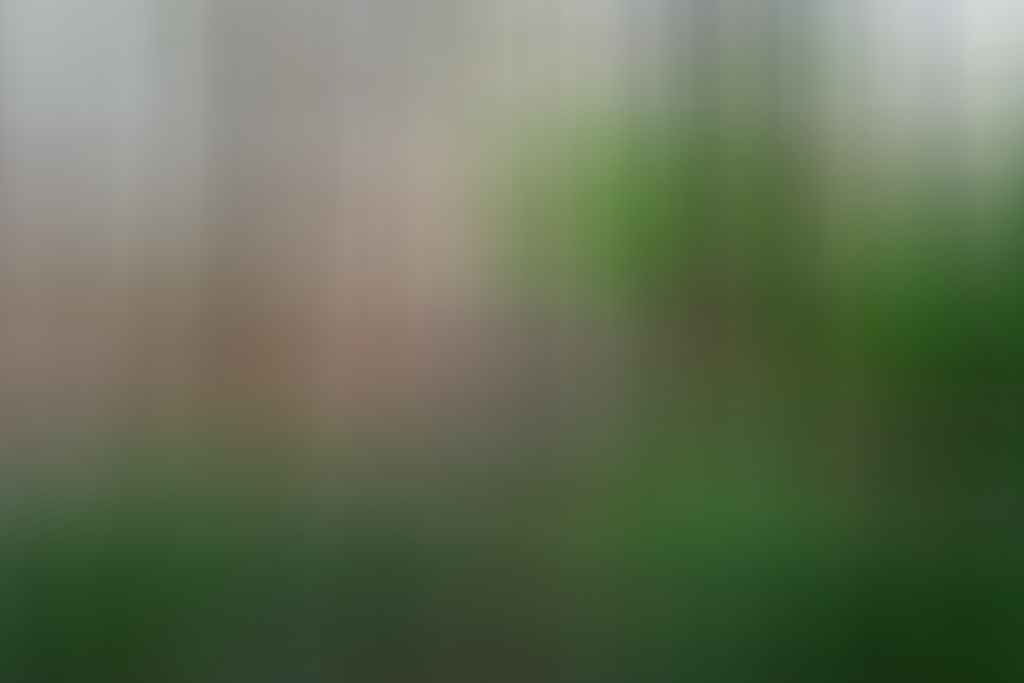 Watagans National Parks is Lake Macquarie's Adventurous Hinterland, Sophie Turner, Lake Macquarie, campground, forest, ute, car